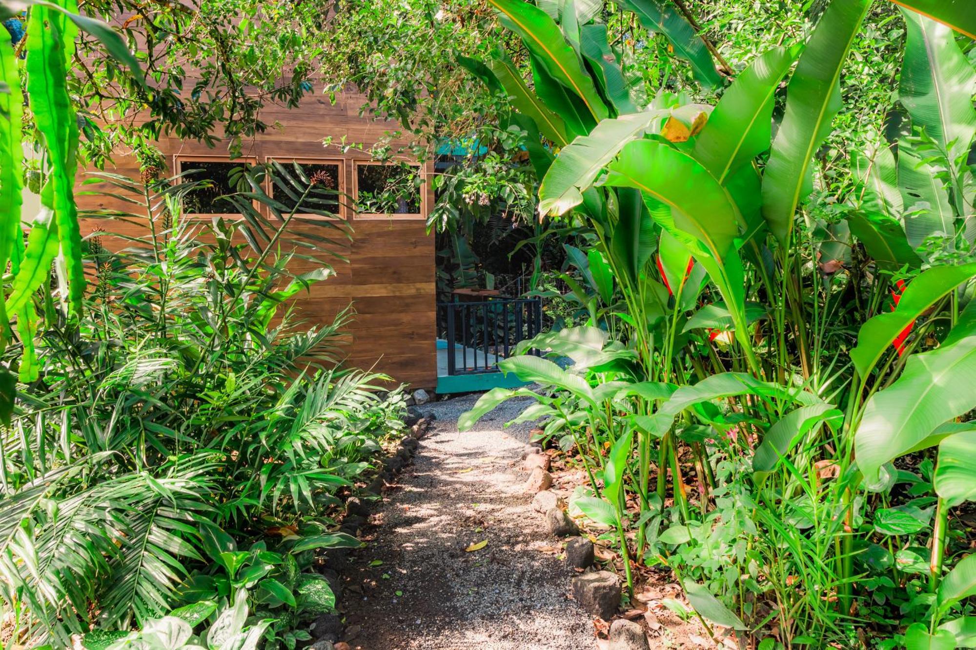 Arenal Getaway Lejlighed La Fortuna Eksteriør billede